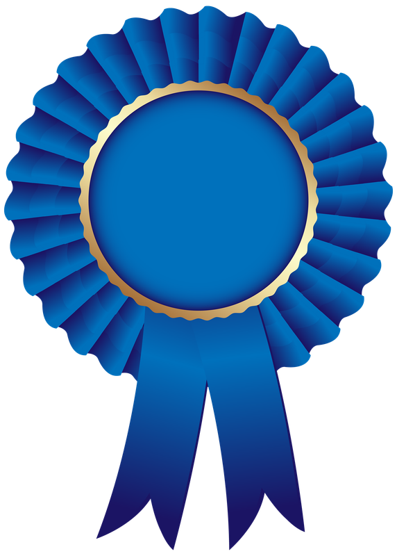 blue-ribbon-rosette-clip-art-blue-rosette-ribbon-png-clip-art-image-f50606c76f2e287a359a769405624604