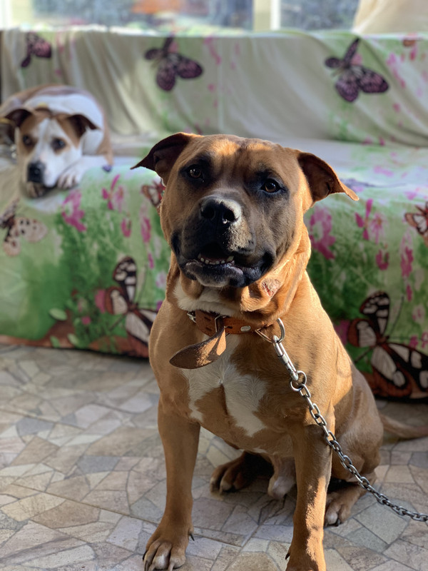 233DF8F0-3453-4949-A205-4A1F9FD38DFE