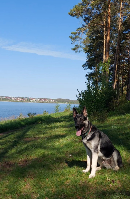 I0aCHyd8xMFyTiyGL2IHgeufvW7XBOCbXuZv2QbVmxtBDchN7RA3aGlTk4ViBvqJ9p96FR9DVPs2r1gjijUqYrZ8