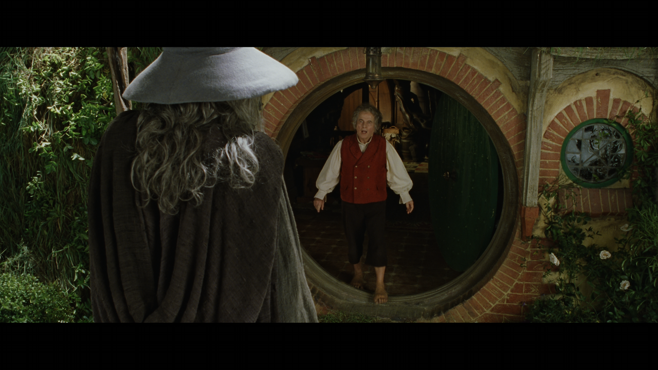 The Lord of the Rings- The Fellowship of the Ring (EXT.) PT. 1.mkv_snapshot_00.15.56_[2020.12.05_21.