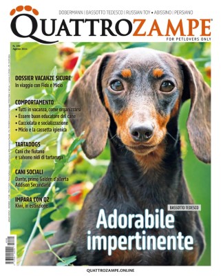 QuattroZampe - Agosto 2024