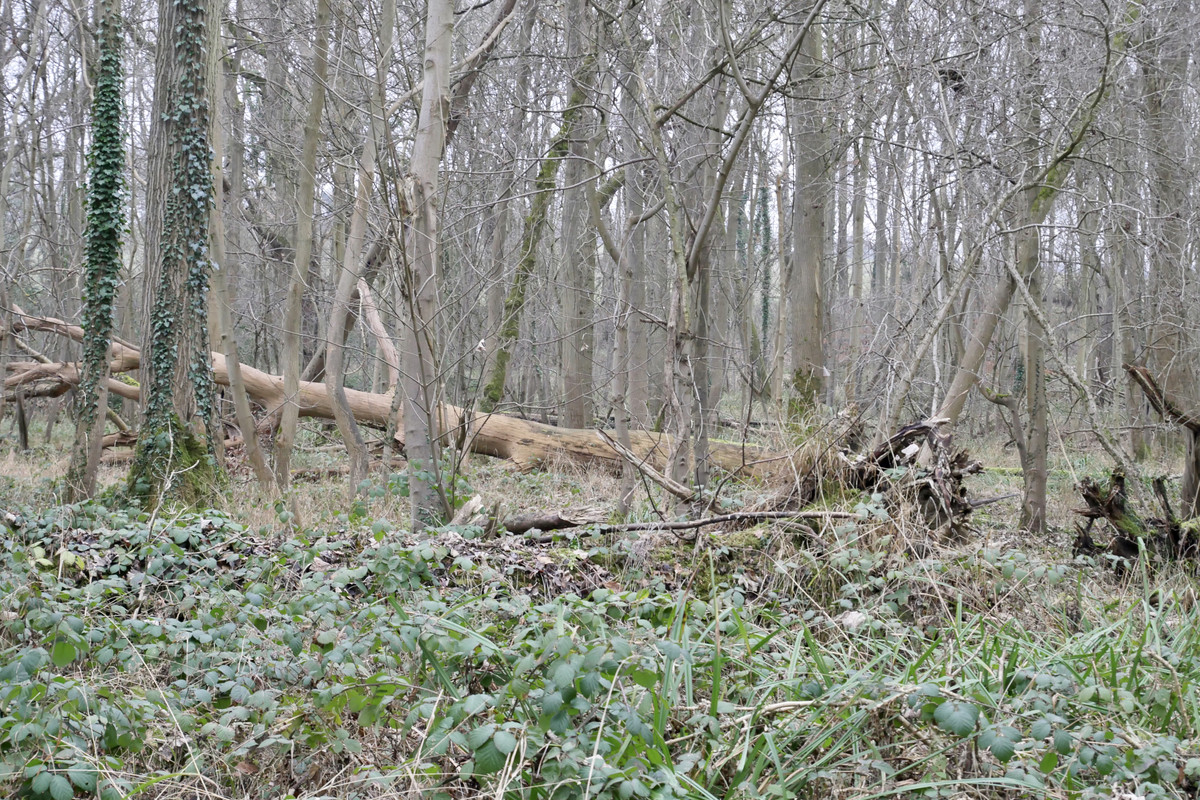 928E0C84-40DB-4D4F-AF5B-92570D45CC59