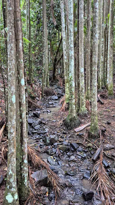 …a creek…