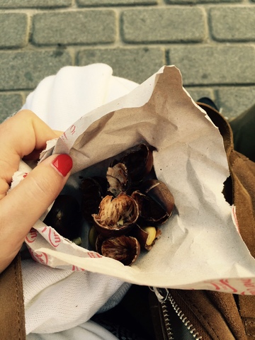 01768e8bd2a51162c5afa5af65848c8ab4a2799322