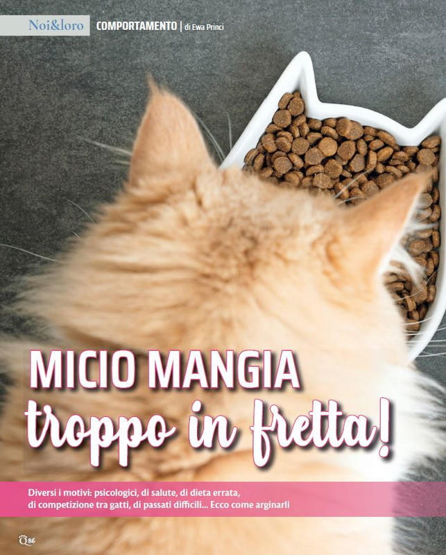 QuattroZampe Feb 2023 (7)