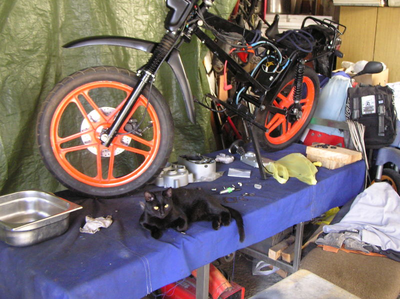 Picturevela luka 805