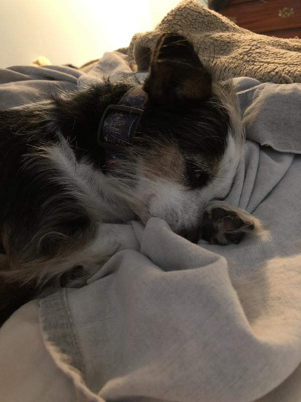 C84FD96D-CA2D-4383-9BD4-E1DEA49C6865