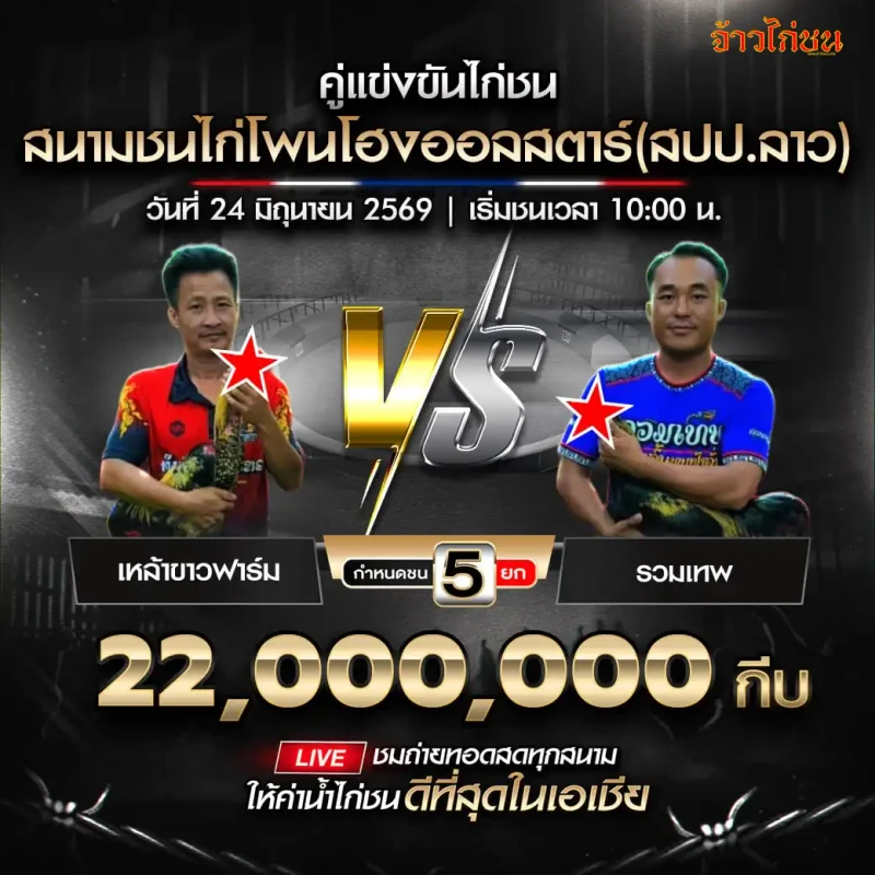 เหล้าขาวฟาร์ม vs รวมเทพ สนามชนไก่โพนโฮงออลสตาร์ 24 มิถุนายน 2569
