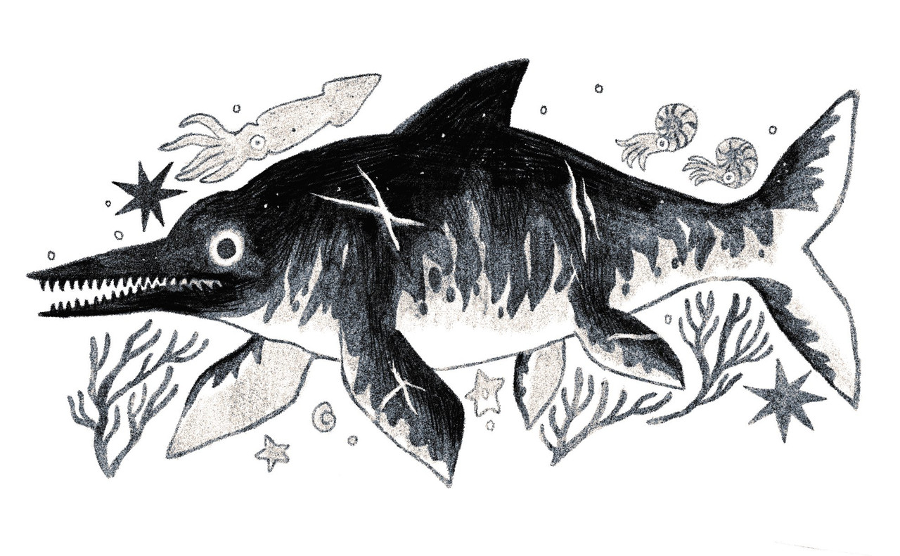 drawing of the ichthyosaurus