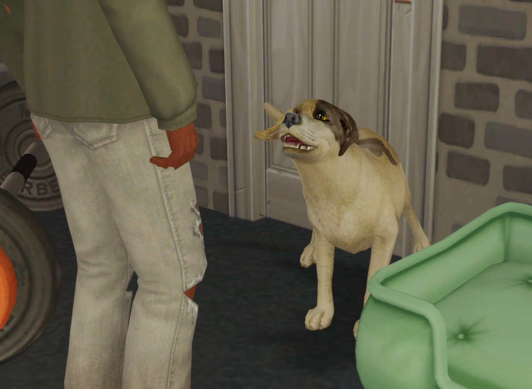 Sims2-EP9-RPC-2023-10-01-14-01-12-63