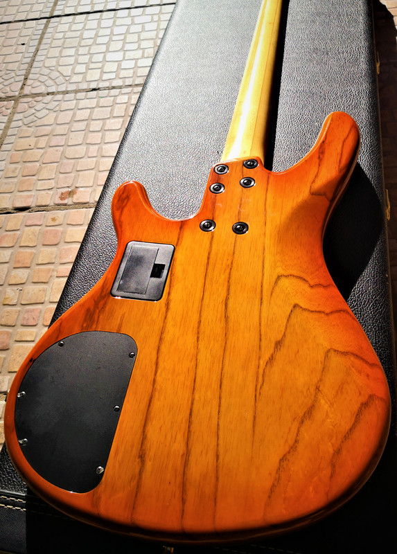 IMG-20201201-125323.jpg