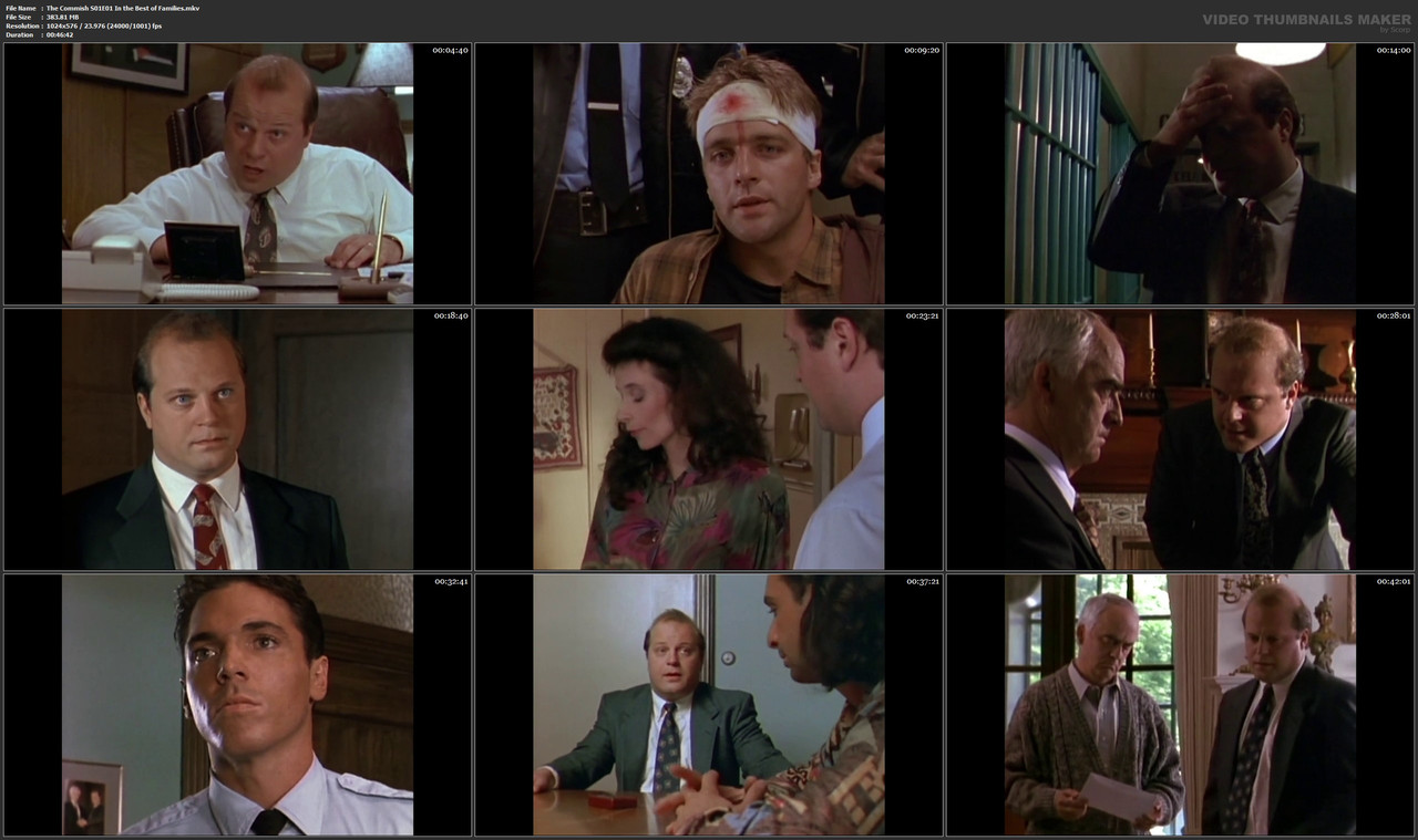 The Commish S01E01 In the Best of Families.mkv