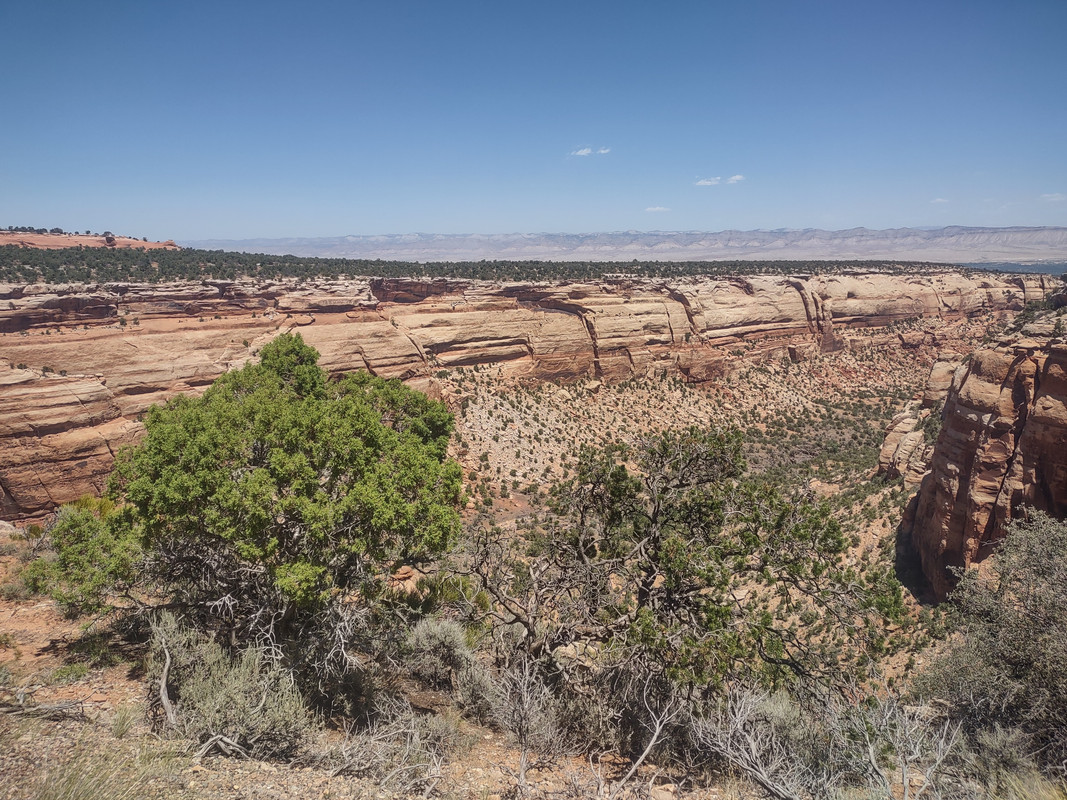 IMG_20250620_130256622_HDR