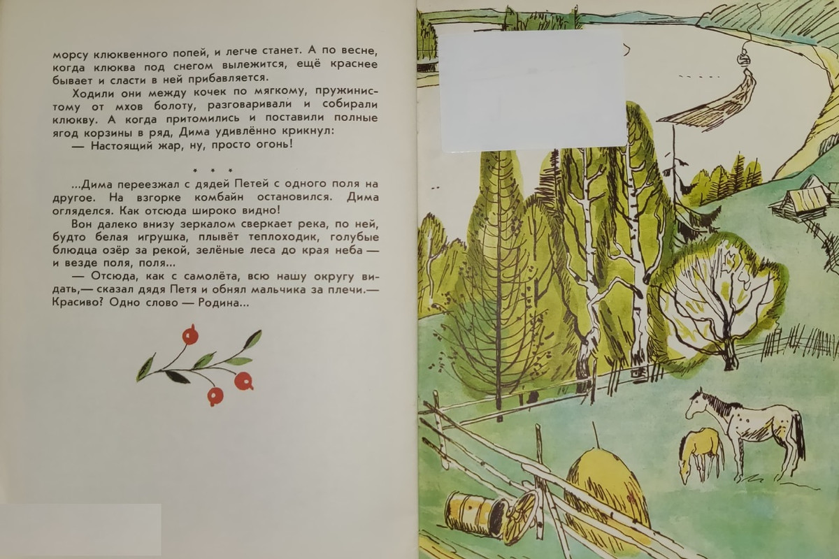 Sitnikov-Vladimir-Klukva-zharovica-page-0016