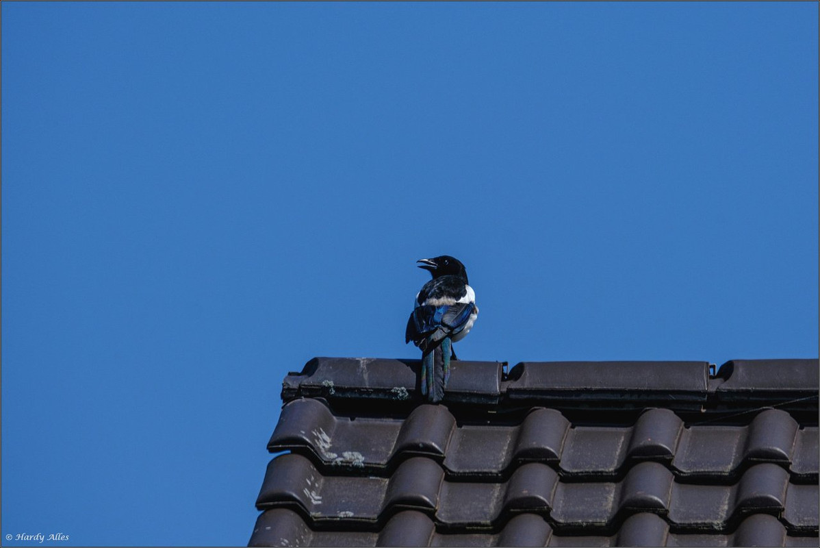 XT4H0528 2023 Gottwill LR ERWZ FB