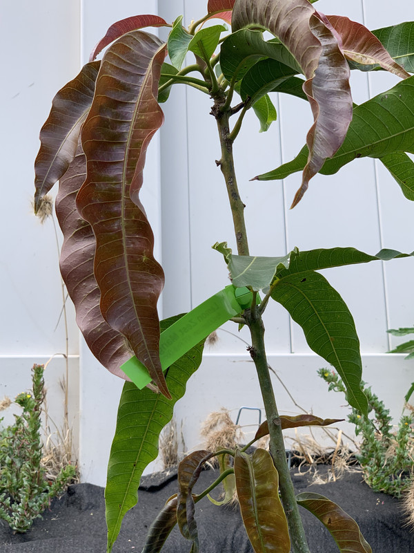 8AF5B183-0382-403C-A27B-1E3ABACF11AB