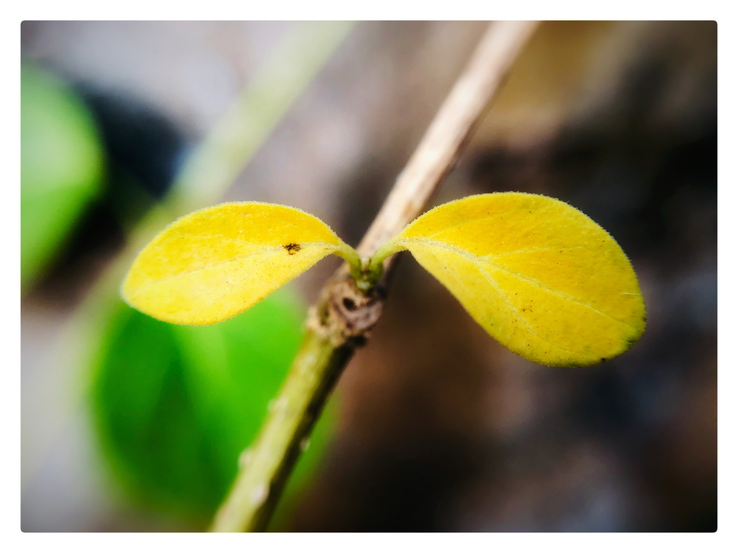 BD2F5F83-8CBC-483D-8110-FC28DCA92995