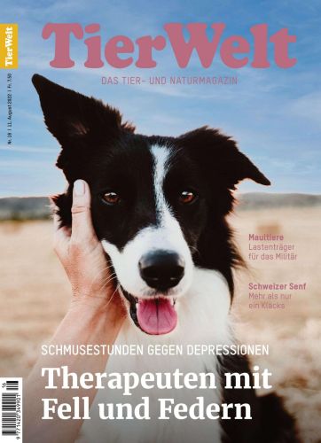 Cover: TierWelt Magazin No 16 2022