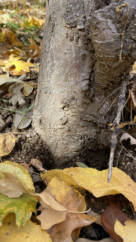 91AB5F30-6C6B-44E7-A9B2-396BC2089FD5