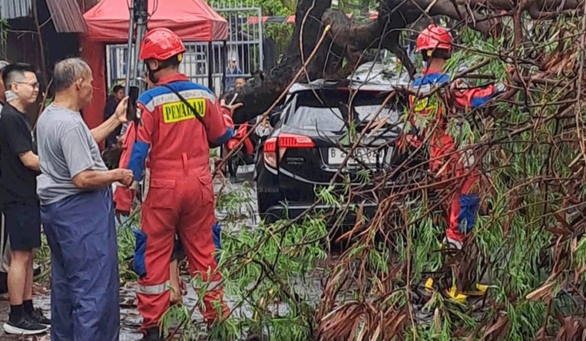 Peran BMKG dalam Mitigasi Bencana Cuaca Ekstrem