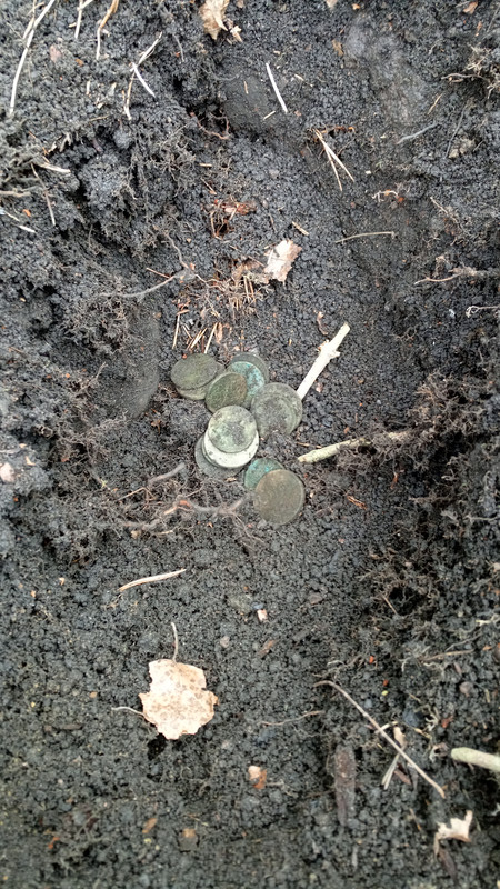 IMG_20210508_124055_4