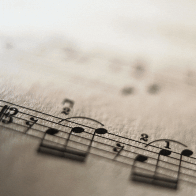 [Image: TCS-0010.gif]