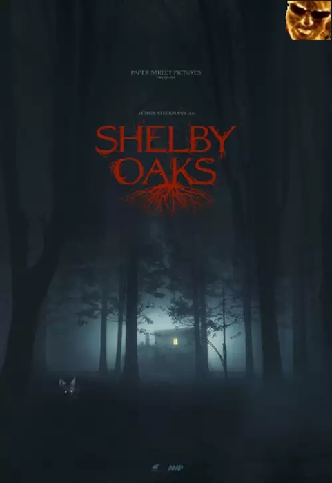 Miasteczko Shelby Oaks / Shelby Oaks (2024) MULTi.480p.AMZN.WEB-DL.H264.AC3-NEO / Lektor Napisy PL