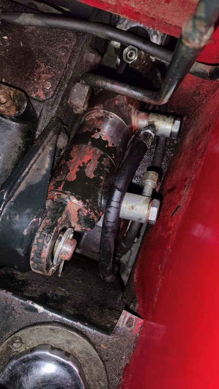 IMG_20251023_174819490_AE