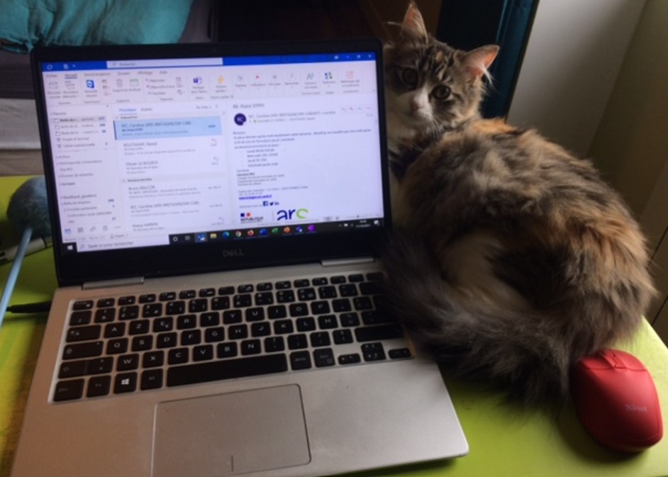 Capture d’écran 2021-10-13 152556