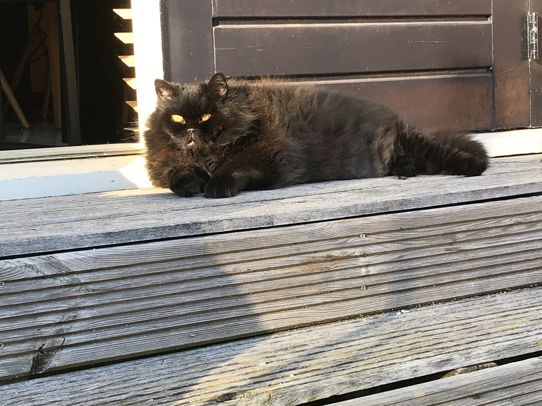 975D4028-8D91-4E4F-9960-32FC95888262