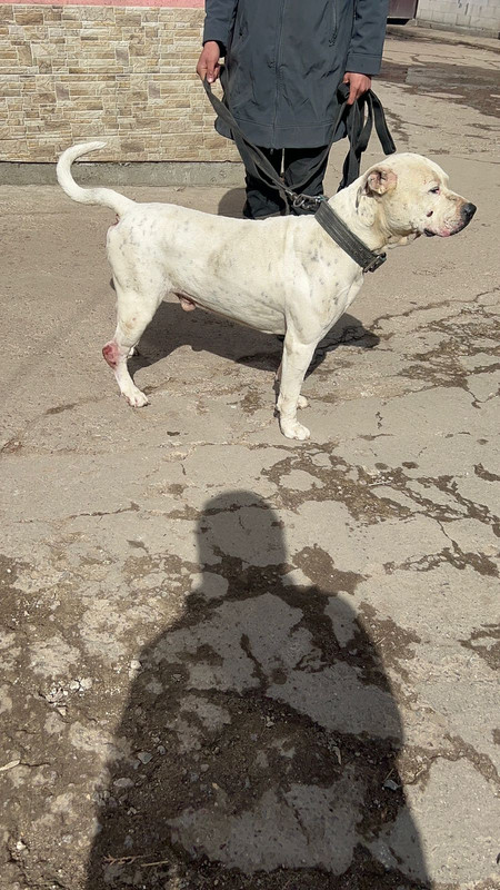 WhatsApp Image 2024-04-05 at 13.29.28 (2)