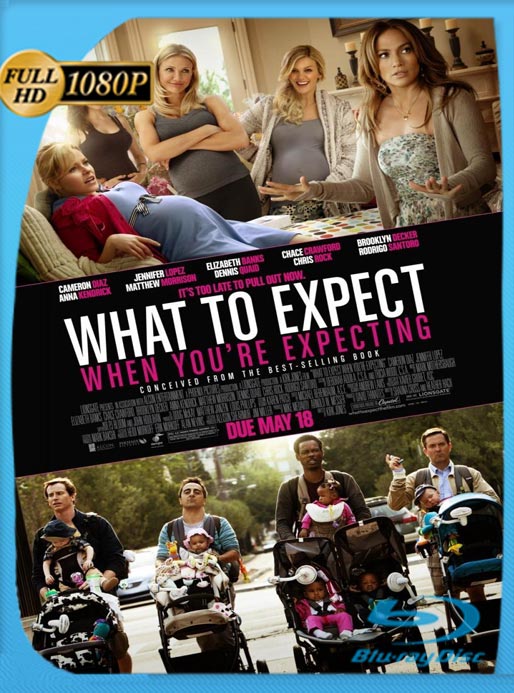 Que Esperar Cuando Estas Esperando (2012) HD 1080p Latino [GoogleDrive]