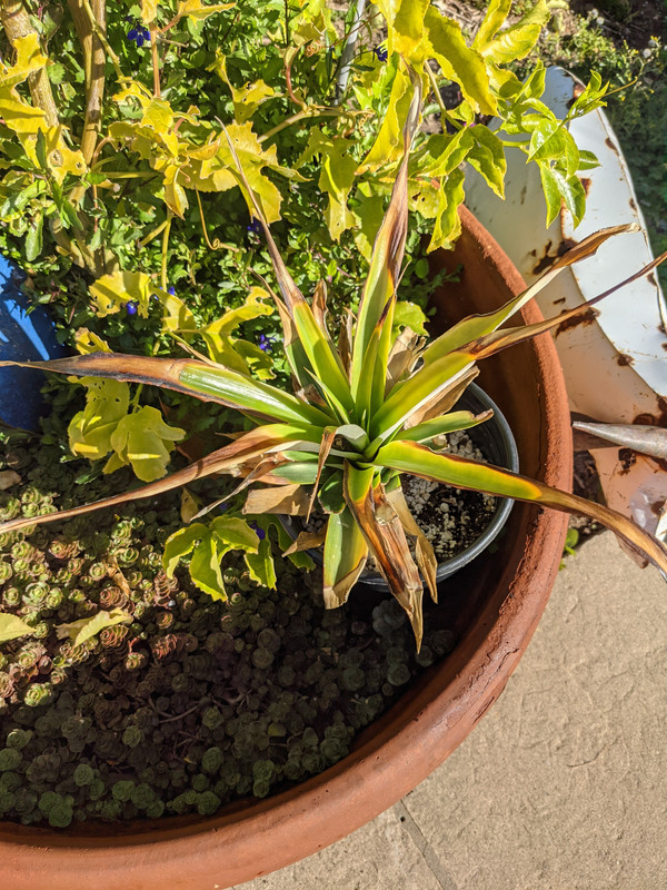 PXL_20210207_172110989