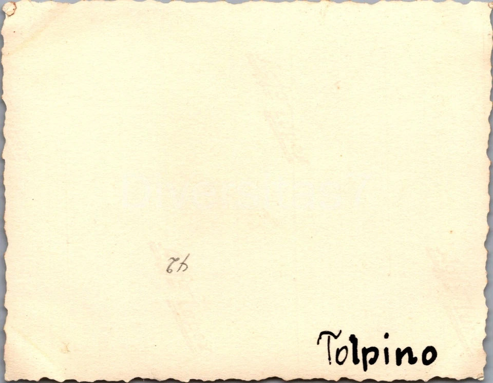 Foto a Nachl. Uffz H Gollner Panzer-Regt. 4, Panzer vor Tolpino, 01 D-83 (1)