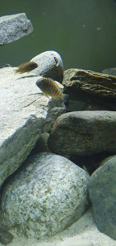 C979C617-D32C-483E-85B1-F50D2132AE31