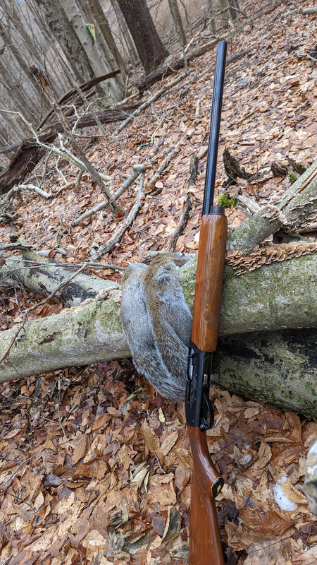 PXL 20260111 145845109