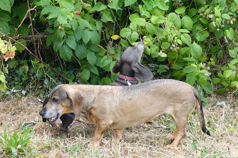 [Image: DSC01627.jpg]