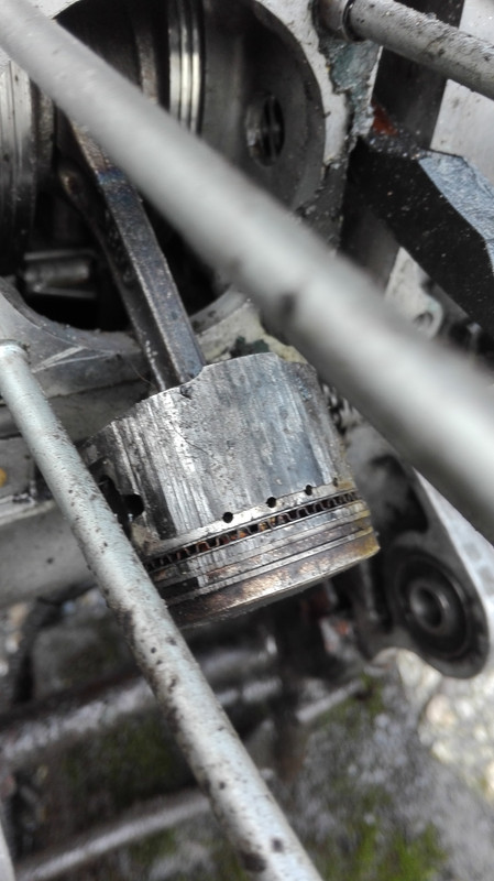 15135162423201544492023