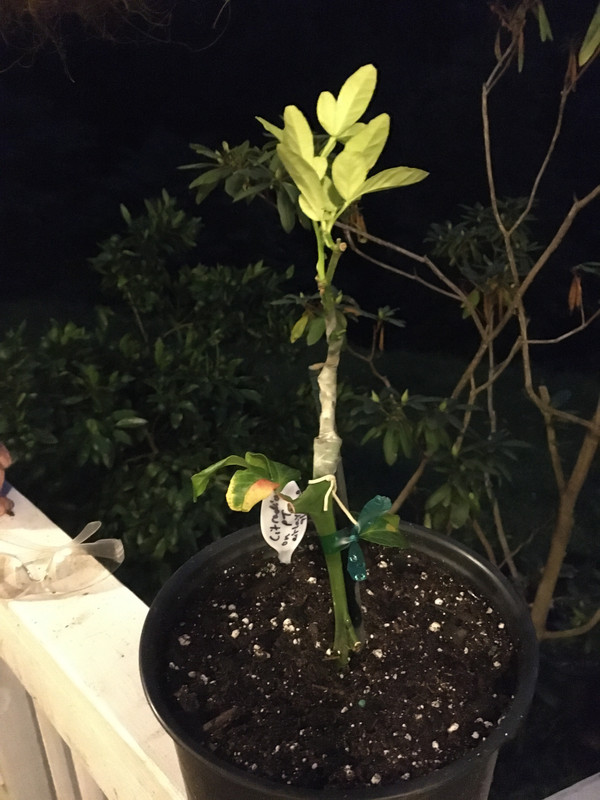 51482F04-CE66-40DE-B221-D3BB3A0B1533