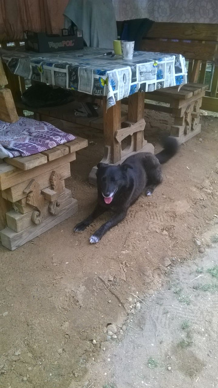 изображение_viber_2020-01-02_15-12-35