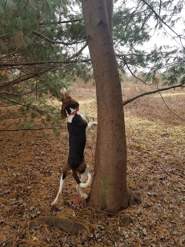 E1CA9F86-A191-4B46-BFFD-F5AFB5A5ADF7