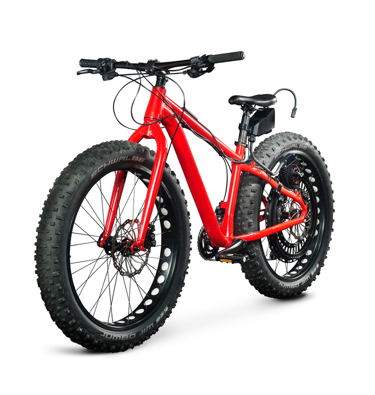 electric bikes manufacturer