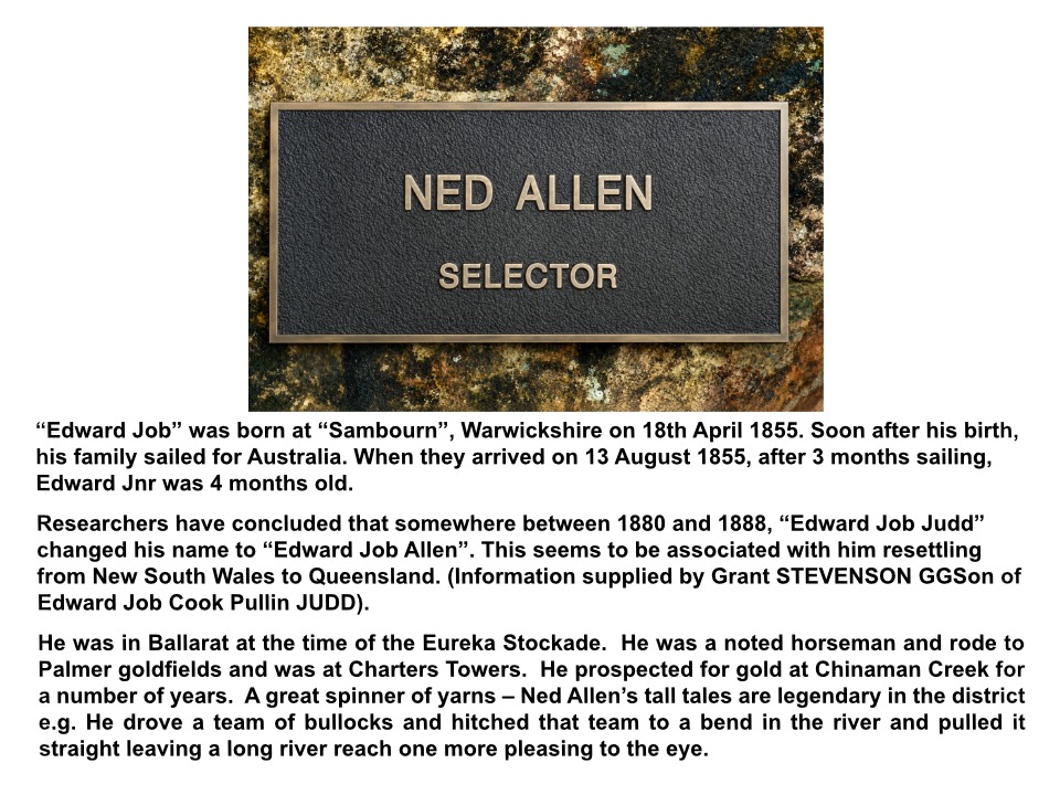 Ned Allen new