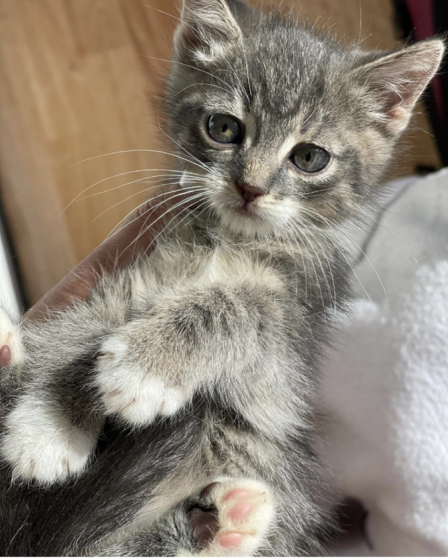 9E8BA0F4-C28D-469B-91BA-F19AEAD5838E