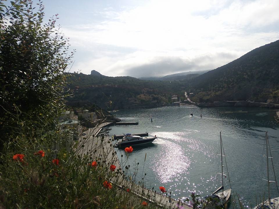 13325658_1212595222107440_7489781920030716767_n