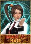 BB-Imari-Hair-v2-Thumb.png