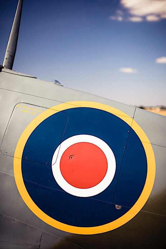 Ford Mustang GT Eagle Squadron  (25)