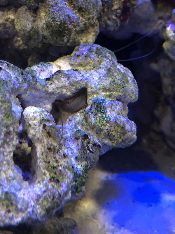 7DEC3961-CFBE-4AB6-ADDD-A64317BDE322