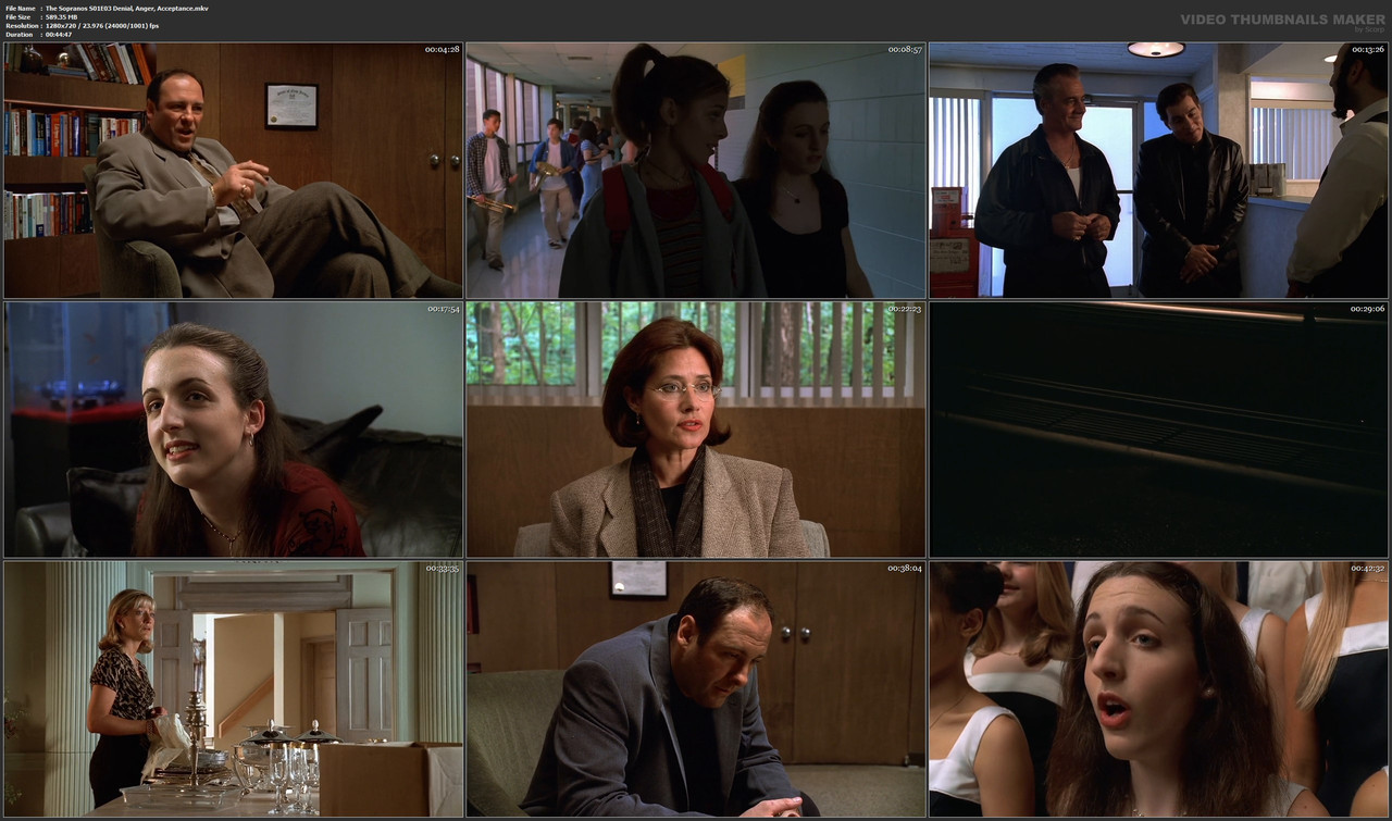 The Sopranos S01E03 Denial, Anger, Acceptance.mkv