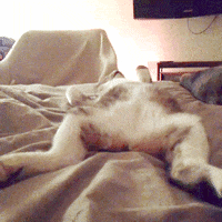 200w-(6).gif